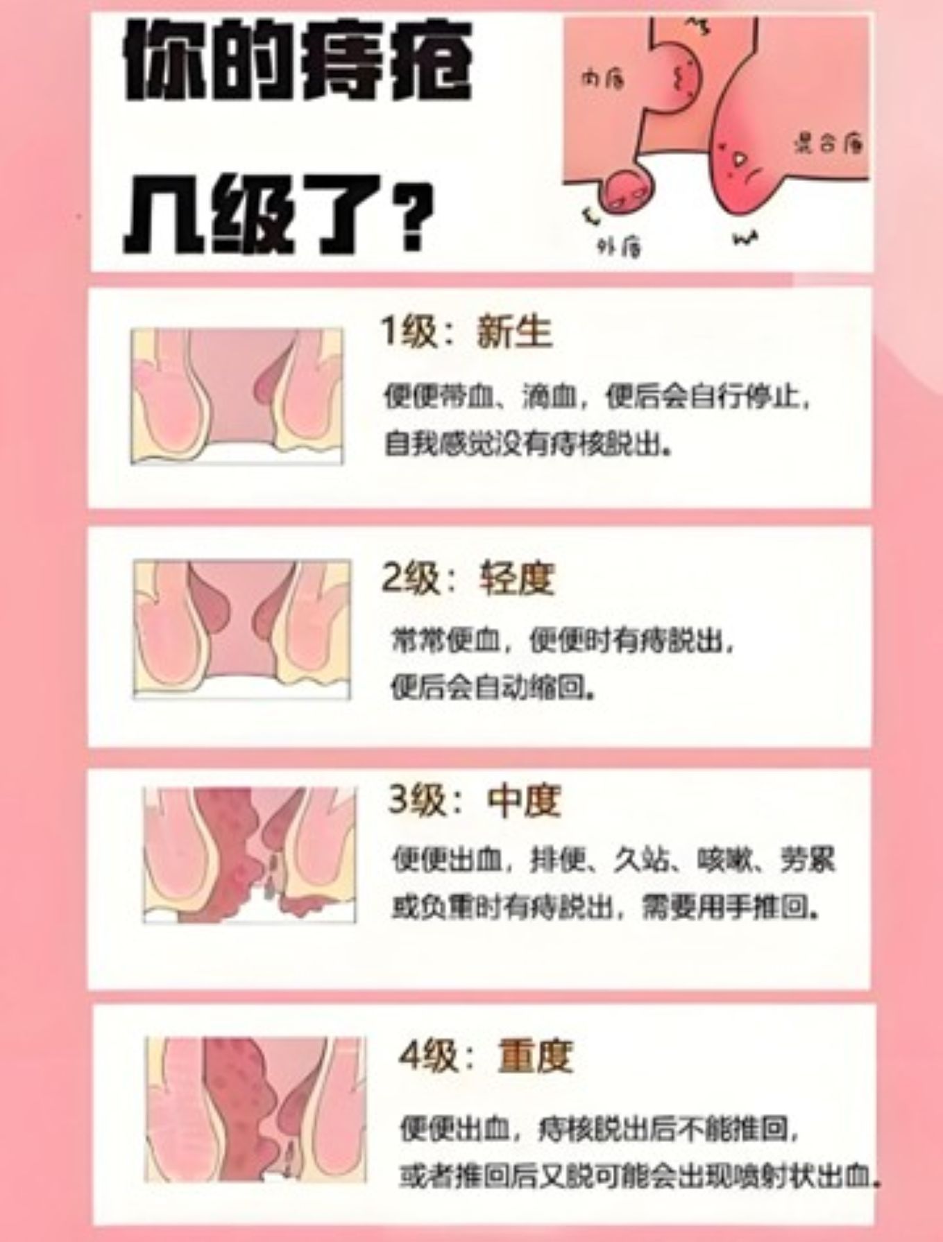 图片1 (2).jpg